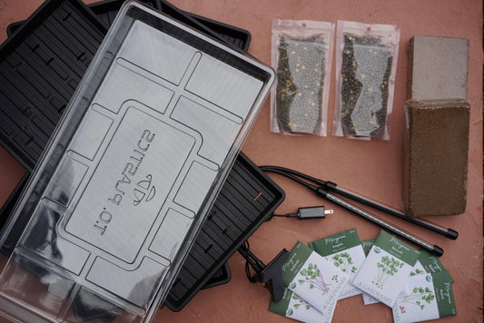 Gardenary’s Magic Microgreens Kit